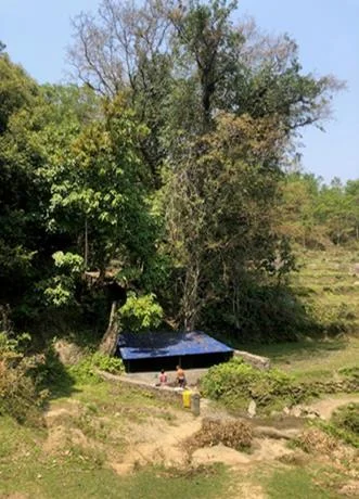 त्तपट्िुक्मा/त्तपजक्सक्मा चा:िा