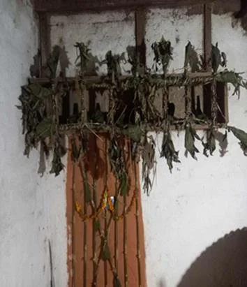 माङ्सुि् (िुलिान) अरु देितासंग फोिो सौजन्द्य: लिििुमार राई