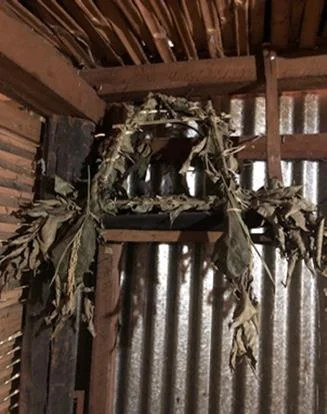 लुङ्िुिाहरूिो माङ्सुि्