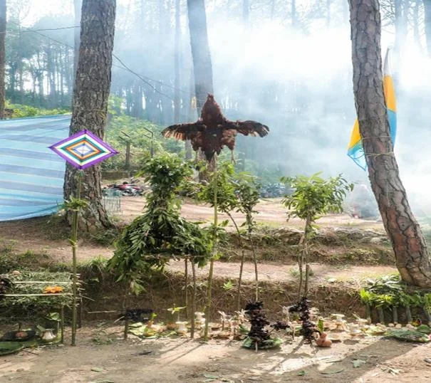 गाइि पुजस्तिा