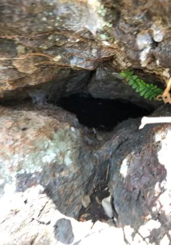 िाब्सालुङ् झररिुम्िा फोिोाः इस्िोर िेखखम्