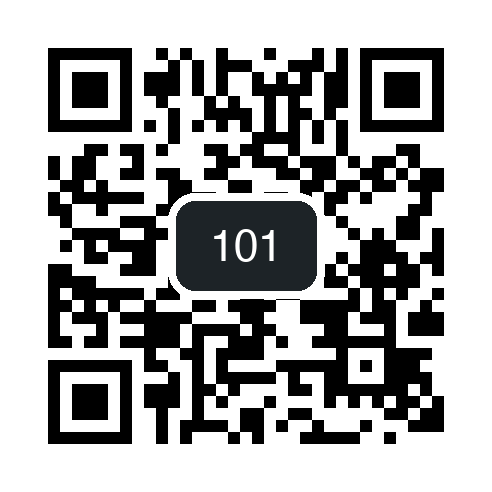 QR 101