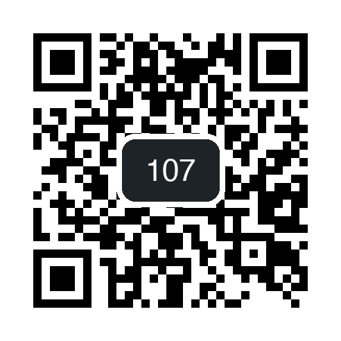 QR 107