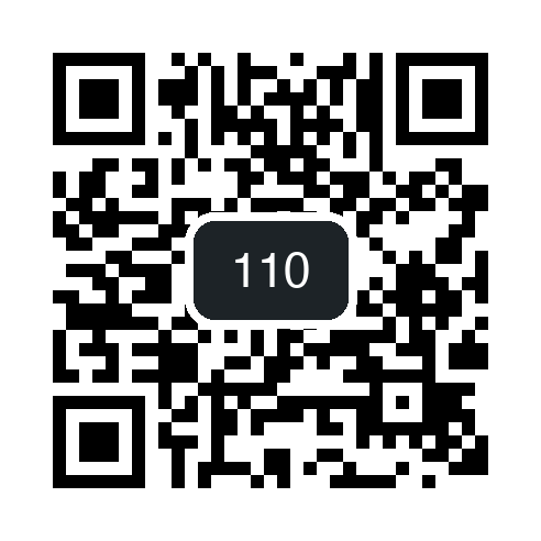 QR 110