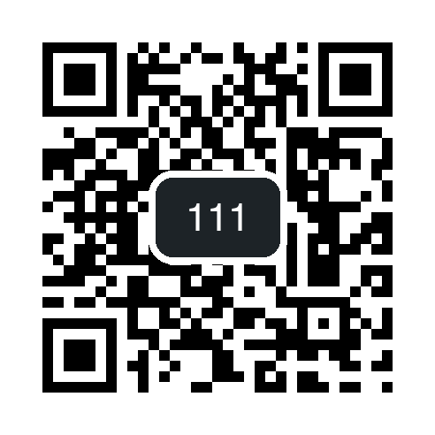 QR 111