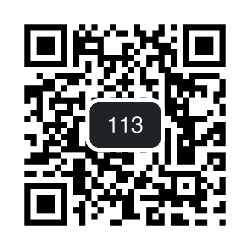 QR 113