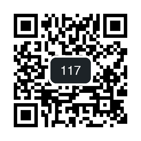 QR 117