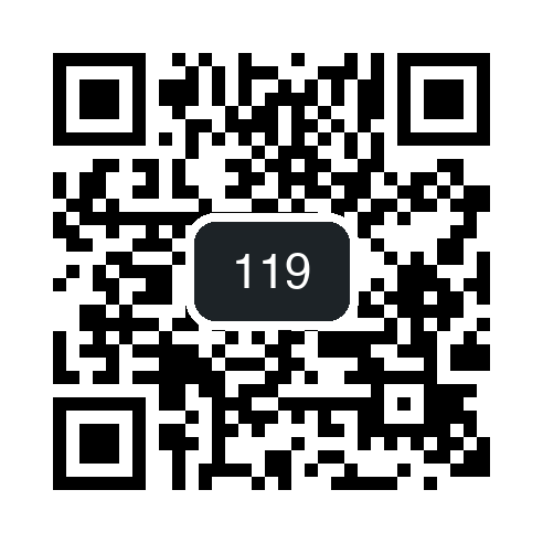 QR 119
