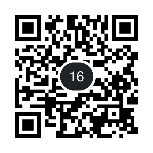 QR 16
