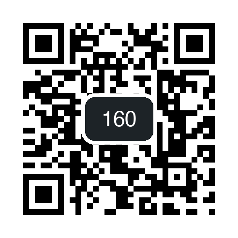 QR 160