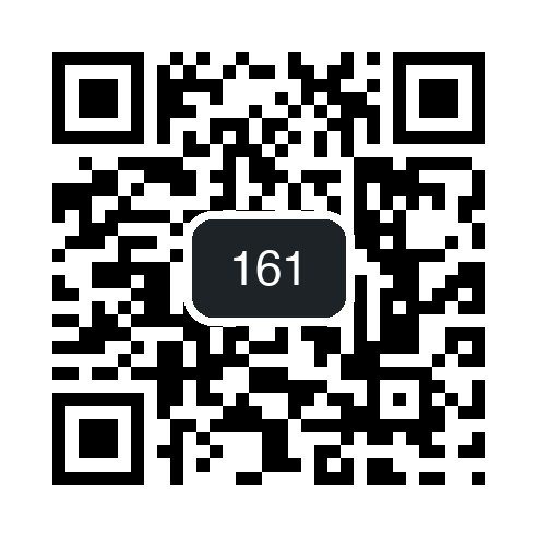 QR 161