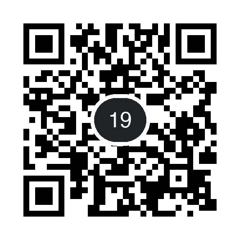 QR 19