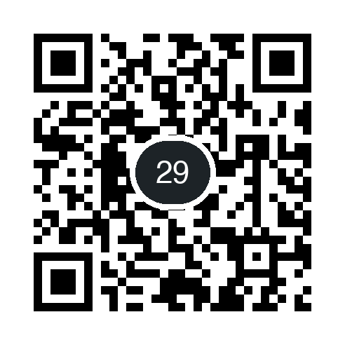 QR 29