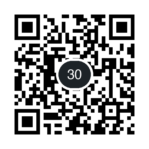 QR 30