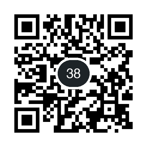 QR 38