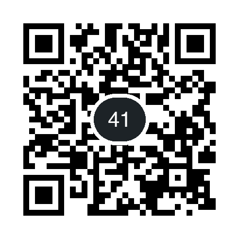 QR 41