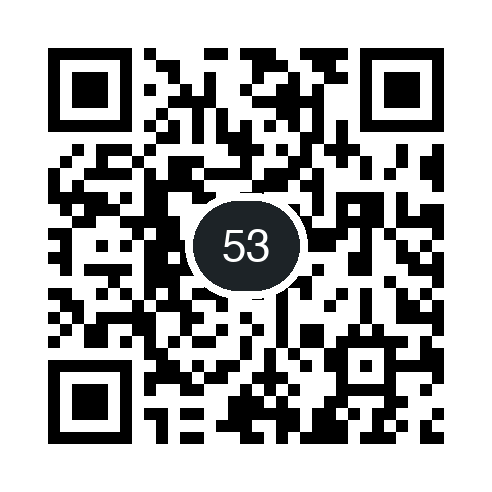 QR 53