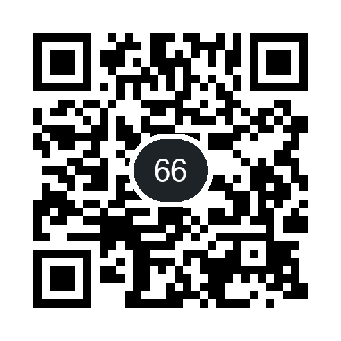 QR 66