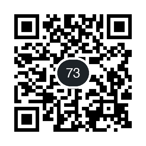 QR 73